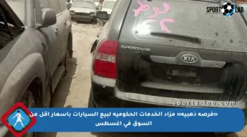 «فرصة ذهبية» مزاد الخدمات الحكومية لبيع السيارات بأسعار أقل من السوق في أغسطس